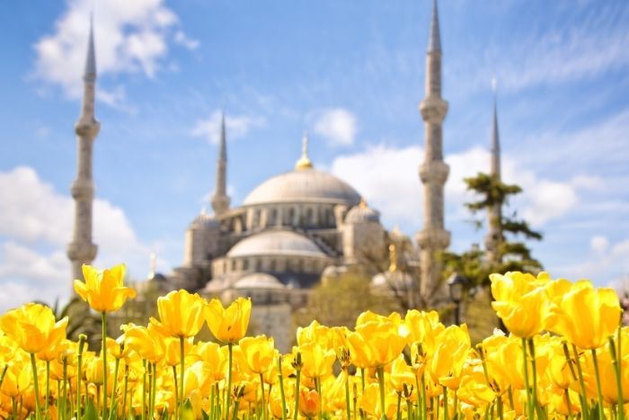 21 Nisan Haftası Etkinlikleri