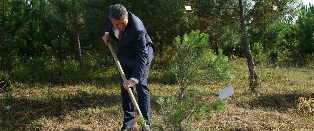 15 Temmuz Demokrasi ve Milli Birlik Günü