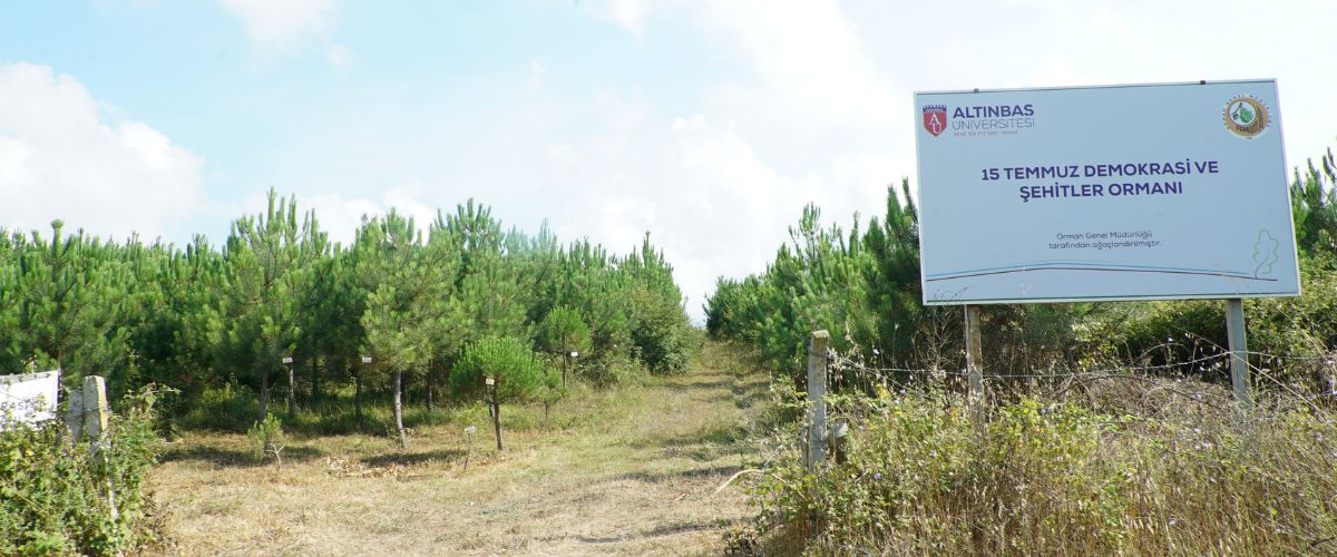 15 Temmuz Demokrasi ve Milli Birlik Günü