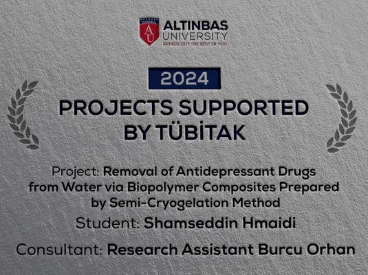 2209-A -PROJECTS SUPPORTED BY TÜBİTAK